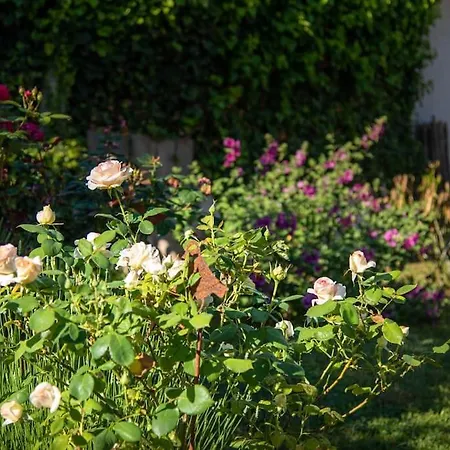 Сasa de vacaciones Champagnol, Gite 3etoiles - Ancienne Ferme En Perigord Noir Fossemagne